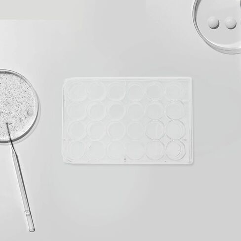 BESTYASH 2pcs Precision Cell Culture Plates Lids for Lab Research High Transparency Plastic Petri Dishes in Saudi Arabia