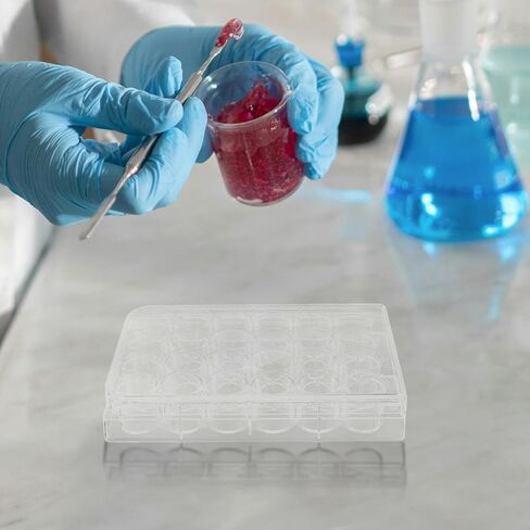 BESTYASH 2pcs Precision Cell Culture Plates Lids for Lab Research High Transparency Plastic Petri Dishes in Saudi Arabia