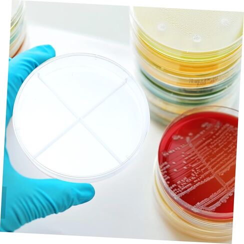 Zerodeko 10pcs Lab Petri Dishes Divided School Dishes Portable Bottom for Cell Culture and Research in Saudi Arabia