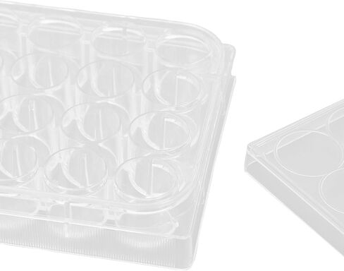 Polystyrene Tissue Culture Plate Highly Transparent Flat Bottom Uniform Thickness with Lid for Laboratory Biology Room 10pcs (24 Well) in Saudi Arabia