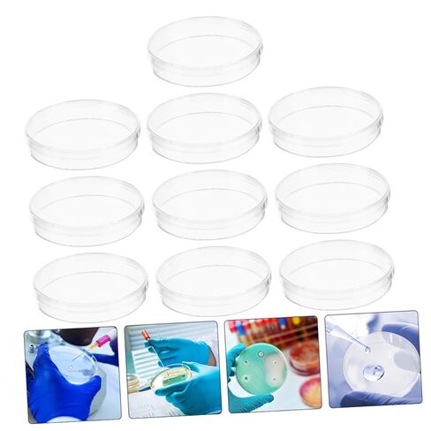 Garneck 10pcs Culture Plate Tissue Culture Dishes Cell Culture Dish Cell Tissue Culture Tray Science Laboratory Glassware Samples Dish Agar Plates Transparent Supplies Tissue Plate Plastic in Saudi Arabia