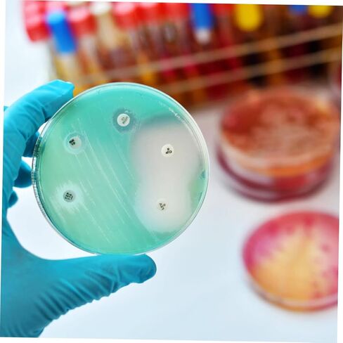 Garneck 10pcs Culture Plate Tissue Culture Dishes Cell Culture Dish Cell Tissue Culture Tray Science Laboratory Glassware Samples Dish Agar Plates Transparent Supplies Tissue Plate Plastic in Saudi Arabia