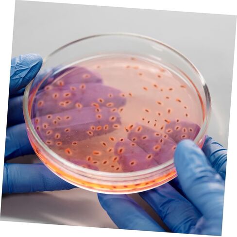 Holibanna 5pcs Glass Culture Dishes Lid Agar Plates for Laboratory Experiments and Easy to Clean for Growth and Sample in Saudi Arabia