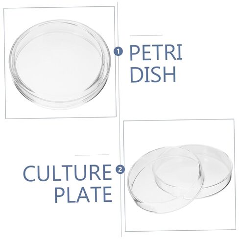 Holibanna 5pcs Glass Culture Dishes Lid Agar Plates for Laboratory Experiments and Easy to Clean for Growth and Sample in Saudi Arabia