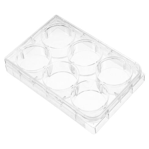 Cabilock 4pcs Lab Tissue Culture Plate Lid 6-Slot Tray Design Cell Culture Plate for Efficient Laboratory Experiments in Saudi Arabia
