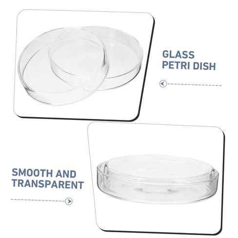 Zerodeko 5pcs Dishes Petri Dishes for Science Experiments and Teaching Protective Lids for Cell Culturing in Saudi Arabia