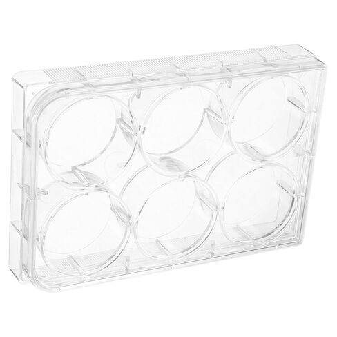 Tissue Culture Plate for Lab Use Slot Cell Culture Tray Design for Cultivation and Versatile Laboratory Equipment in Saudi Arabia