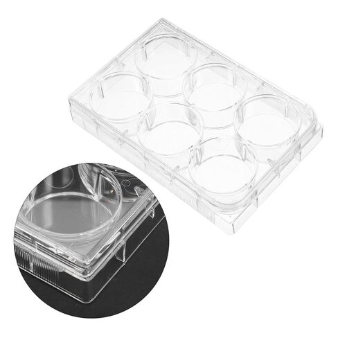 Tissue Culture Plate for Lab Use Slot Cell Culture Tray Design for Cultivation and Versatile Laboratory Equipment in Saudi Arabia