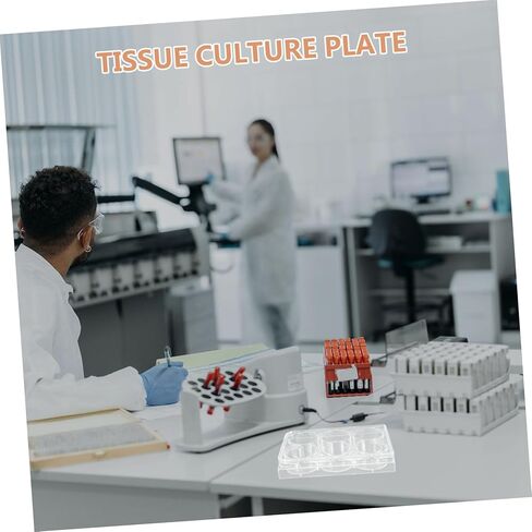 Tissue Culture Plate for Lab Use Slot Cell Culture Tray Design for Cultivation and Versatile Laboratory Equipment in Saudi Arabia