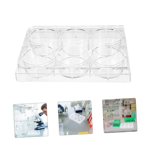 Tissue Culture Plate for Lab Use Slot Cell Culture Tray Design for Cultivation and Versatile Laboratory Equipment in Saudi Arabia