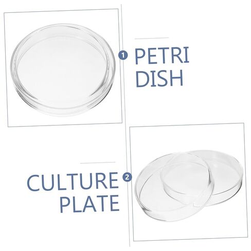 Alipis 5pcs Culture Dishes Lid Culture Plates for Laboratory Use Lightweight for Easy Sample Observation in Saudi Arabia