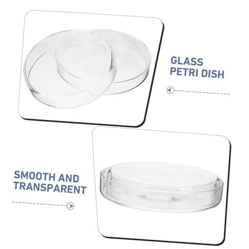 Alipis 5pcs Culture Dishes Lid Culture Plates for Laboratory Use Lightweight for Easy Sample Observation in Saudi Arabia
