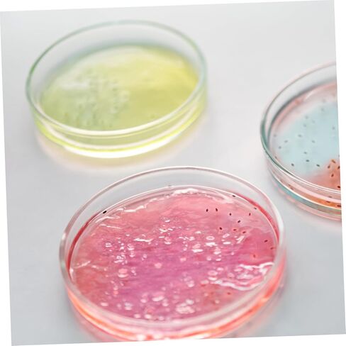 Alipis 5pcs Culture Dishes Lid Culture Plates for Laboratory Use Lightweight for Easy Sample Observation in Saudi Arabia
