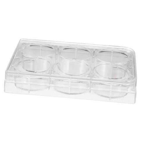 Holibanna Cell Culture Plate Non-Treated Tissue Culture Plate Small Tray Agar Plates Culture Plate Laboratory Culture Plate Culture Plate with Lid Tissue Culture Tool Large White Polystyrene in Saudi Arabia