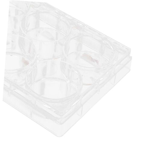 Holibanna Cell Culture Plate Non-Treated Tissue Culture Plate Small Tray Agar Plates Culture Plate Laboratory Culture Plate Culture Plate with Lid Tissue Culture Tool Large White Polystyrene in Saudi Arabia