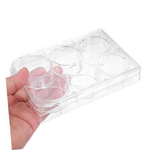 Holibanna Cell Culture Plate Non-Treated Tissue Culture Plate Small Tray Agar Plates Culture Plate Laboratory Culture Plate Culture Plate with Lid Tissue Culture Tool Large White Polystyrene in Saudi Arabia