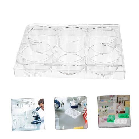 Holibanna Cell Culture Plate Non-Treated Tissue Culture Plate Small Tray Agar Plates Culture Plate Laboratory Culture Plate Culture Plate with Lid Tissue Culture Tool Large White Polystyrene in Saudi Arabia
