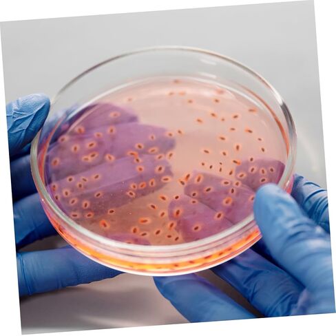 5 قطع من أطباق الثقافة الشفافة من Luxshiny بغطاء أطباق مختبر البورسليكات لمراقبة العينة بشكل آمن وسهولة التعامل معها in Kuwait