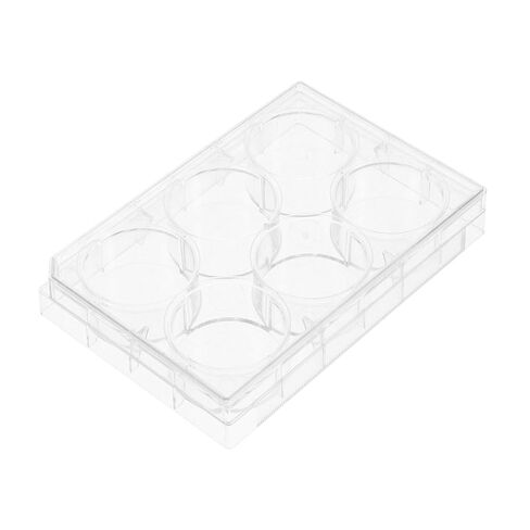 Cell Culture Plate Lid 6 Well Tissue Culture Dish for Laboratory Experiments for Microbiology and Life Sciences in Saudi Arabia
