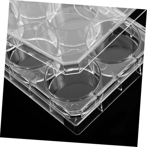 Cell Culture Plate Lid 6 Well Tissue Culture Dish for Laboratory Experiments for Microbiology and Life Sciences in Saudi Arabia