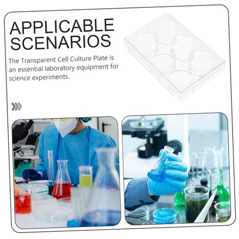 Cell Culture Plate Lid 6 Well Tissue Culture Dish for Laboratory Experiments for Microbiology and Life Sciences in Saudi Arabia