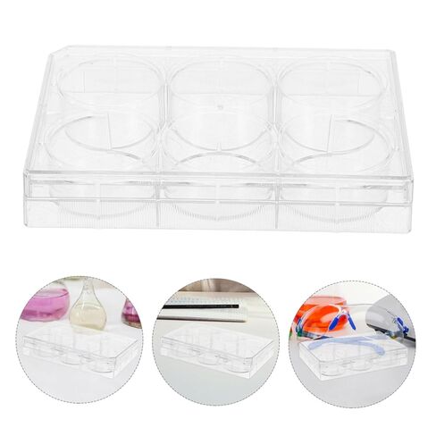 Cell Culture Plate Lid 6 Well Tissue Culture Dish for Laboratory Experiments for Microbiology and Life Sciences in Saudi Arabia