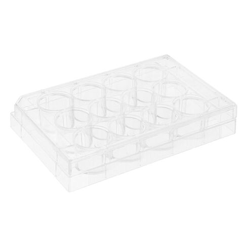 Healifty Cell Culture Plate for Lab Research Petri Dish Sturdy Plastic Flat Surface Tissue Culture Tray Lid in Saudi Arabia