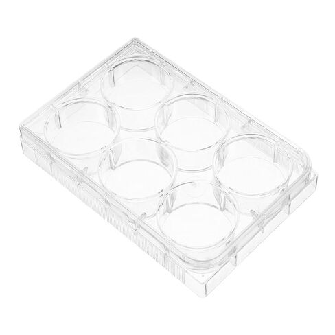 4pcs Tissue Culture Plate for Laboratory Cell Culture Tray 6-Slot One-time Use Lid Lab Equipment in Saudi Arabia