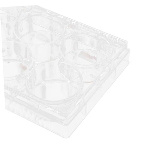 4pcs Tissue Culture Plate for Laboratory Cell Culture Tray 6-Slot One-time Use Lid Lab Equipment in Saudi Arabia