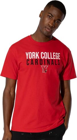 LOGOVISION Official Collegiate Distressed Stacked Short Sleeve Unisex for Men & Women T Shirt Collection 2 in Saudi Arabia