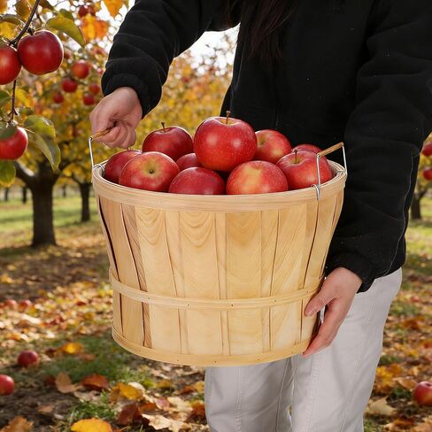 5 Pack Jumbo Half Bushel Baskets 14 x 9.5 Inch, Large Natural Wooden Harvest Apple Baskets with Handles for Harvest Fruit Plants, Farmers Market, Produce, and Home Storage Use in Saudi Arabia