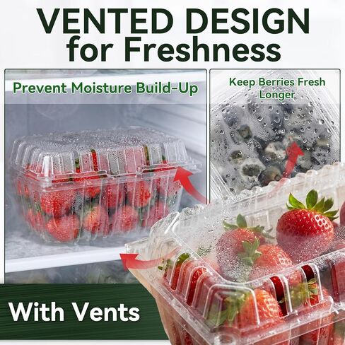 Qinyoung 100 Pack 1 Pound Clear Plastic Berry Containers with Lids Vented Clam Shell Produce Baskets for Fridge 7.1 x 4.7 x 2.4 Inch Fruit Storage Boxes for Strawberry, Grocery, Home Use in Saudi Arabia