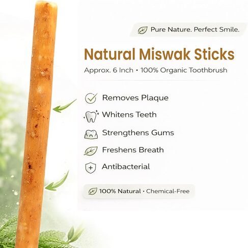 5 Pack Miswak Sticks for Teeth with 1 Holder - Sewak Sticks for Teeth Whitening | Natural Toothbrush Stick for Healthy Gums |Vacuum Sealed Miswak Toothbrush| Fresh Salvadora Persica Wood in Saudi Arabia
