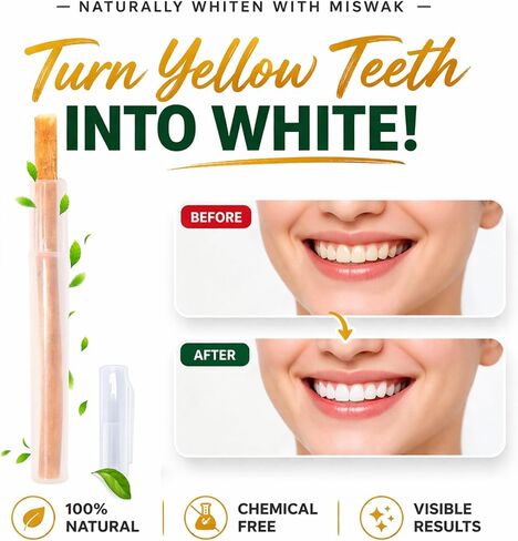 5 Pack Miswak Sticks for Teeth with 1 Holder - Sewak Sticks for Teeth Whitening | Natural Toothbrush Stick for Healthy Gums |Vacuum Sealed Miswak Toothbrush| Fresh Salvadora Persica Wood in Saudi Arabia