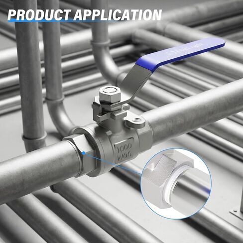 TAILONZ PNEUMATIC 1/4 بوصة أنثى NPT 304 صمام كروي كامل المنفذ من الفولاذ المقاوم للصدأ - مقبض أزرق عالي التحمل (عبوة من 1) in Saudi Arabia