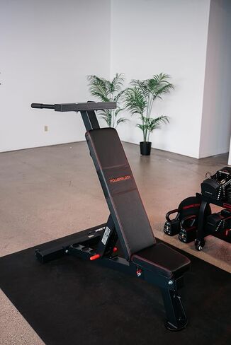 مرفق PowerBock PowerBench 2.0 Dip - معدات تمرين ثلاثية الرؤوس والصدر قابلة للتعديل لتدريب القوة في صالة الألعاب الرياضية المنزلية in Kuwait