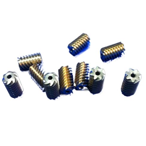 Central Locking Gear Closer Worm Copper Screw Gear in Saudi Arabia