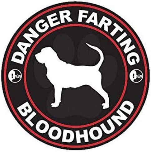 Danger Farting Bloodhound Sticker Decal Vinyl Dog Canine pet 5" Bumper Locker Laptop Window - Sticks to Any Surface in Saudi Arabia
