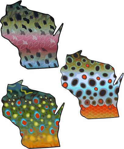 Wisconsin 6" Trout Fly Fishing Bumper 3-Sticker Set – Waterproof Vinyl Decals Featuring Brown, Rainbow & Brook Trout, Ideal for Trucks, Boats, Coolers & Outdoor Gear, Made in USA in Saudi Arabia