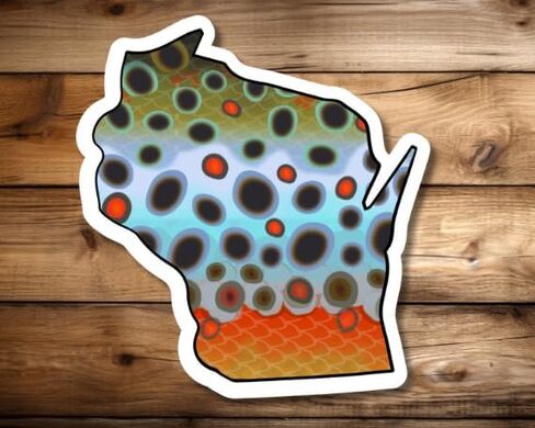 Wisconsin 6" Trout Fly Fishing Bumper 3-Sticker Set – Waterproof Vinyl Decals Featuring Brown, Rainbow & Brook Trout, Ideal for Trucks, Boats, Coolers & Outdoor Gear, Made in USA in Saudi Arabia