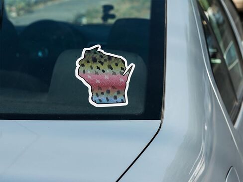 Wisconsin 6" Trout Fly Fishing Bumper 3-Sticker Set – Waterproof Vinyl Decals Featuring Brown, Rainbow & Brook Trout, Ideal for Trucks, Boats, Coolers & Outdoor Gear, Made in USA in Saudi Arabia