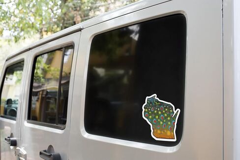 Wisconsin 6" Trout Fly Fishing Bumper 3-Sticker Set – Waterproof Vinyl Decals Featuring Brown, Rainbow & Brook Trout, Ideal for Trucks, Boats, Coolers & Outdoor Gear, Made in USA in Saudi Arabia