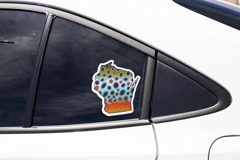 Wisconsin 6" Trout Fly Fishing Bumper 3-Sticker Set – Waterproof Vinyl Decals Featuring Brown, Rainbow & Brook Trout, Ideal for Trucks, Boats, Coolers & Outdoor Gear, Made in USA in Saudi Arabia