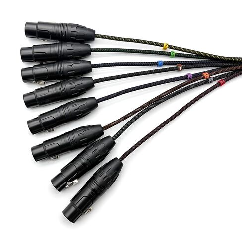6.56ft DB25 ذكر إلى 8 قنوات XLR 3Pin أنثى ثعبان كابل، D-Sub ثعبان كابل التصحيح خليج واجهة وحدات كابل لتسجيل الاستوديو، وحدة التحكم خلط، الميكروفونات in Saudi Arabia