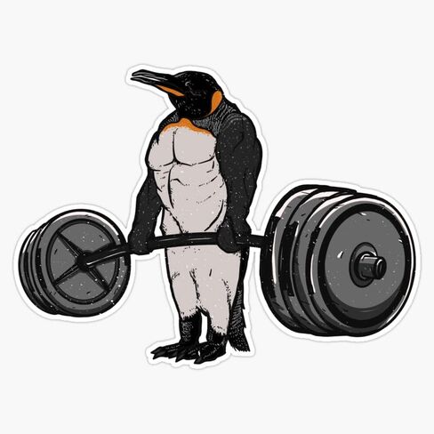 Deadlift Penguin-مضحك الصالة الرياضية الطيور كمال الاجسام هدية ملصق ملصقات للسيارة متعددة الأشكال ملصق حائط من الفينيل‏ 5" in Saudi Arabia
