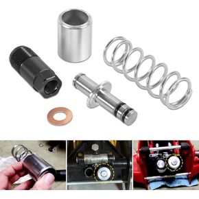 Replacement Pump Piston Low Side Pump Plunger Kit (Smaller One) Fit for Harbor Freight-Costco-Arcan-Matco 3 & 3 1/4 Ton Jack