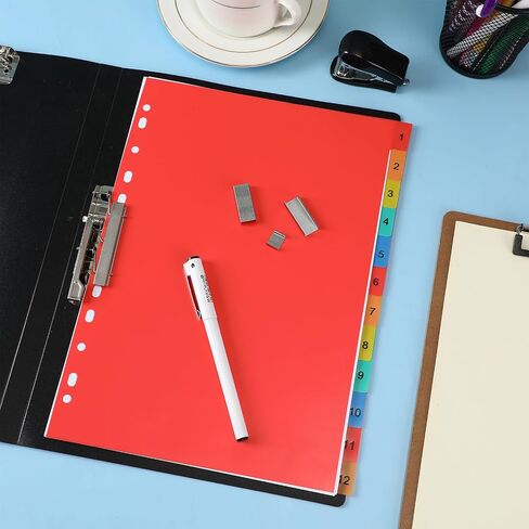 40 Pack Binder Dividers 480 Sheets 12 Tab Binder Dividers 8.2 x 11.6 Inch for 2/3/4/11 Ring Binders Multicolor Binder Divider for 3 Ring Binders, Binder Tabs Notebook Dividers for School in Saudi Arabia