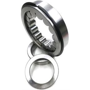Radial Cylindrical Roller Bearing NTF O50-12 A3GN Bearing LSUZU 8972530971 in Kuwait