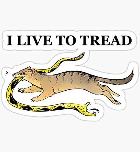 I Live to Tread- Mongoose - ملصق - فينيل مقطوع بالقالب - ملصق طباعة ساطع in Saudi Arabia