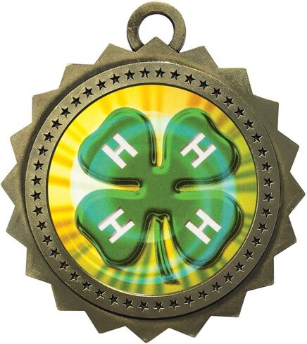 Express Medals Various 10 Pack Styles of 4H Award Medals with Neck Ribbons Trophy Award Prize Gift in Saudi Arabia